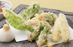 春野菜の天ぷら 写真